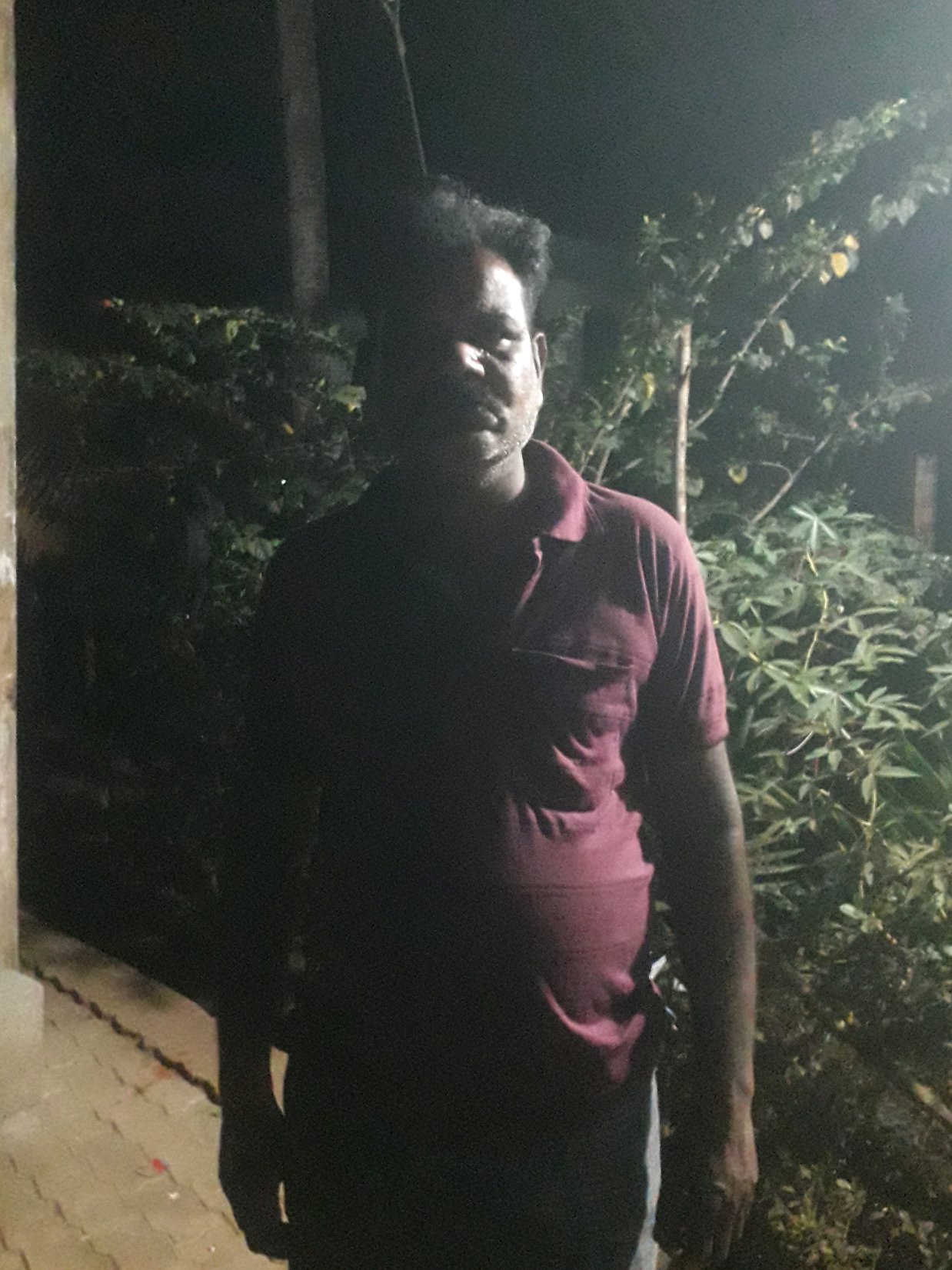 Anada bovi