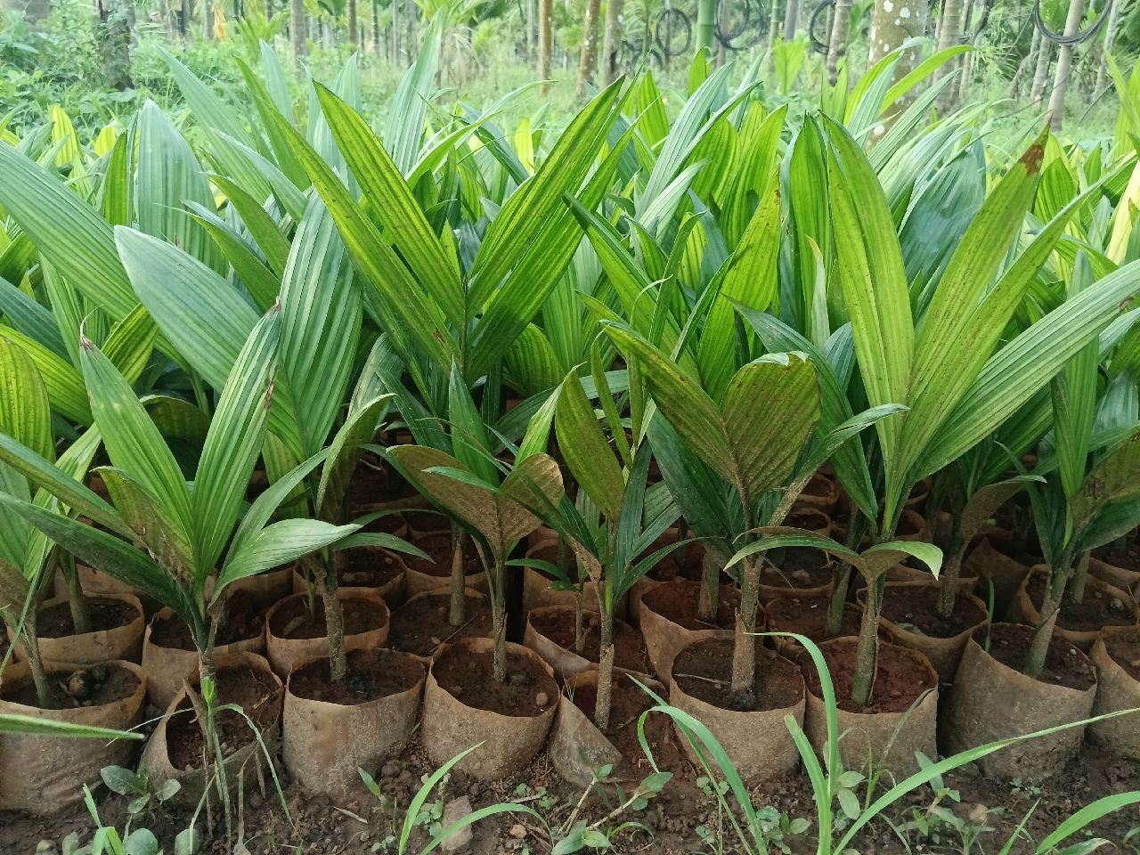 Agriculture Services image 1