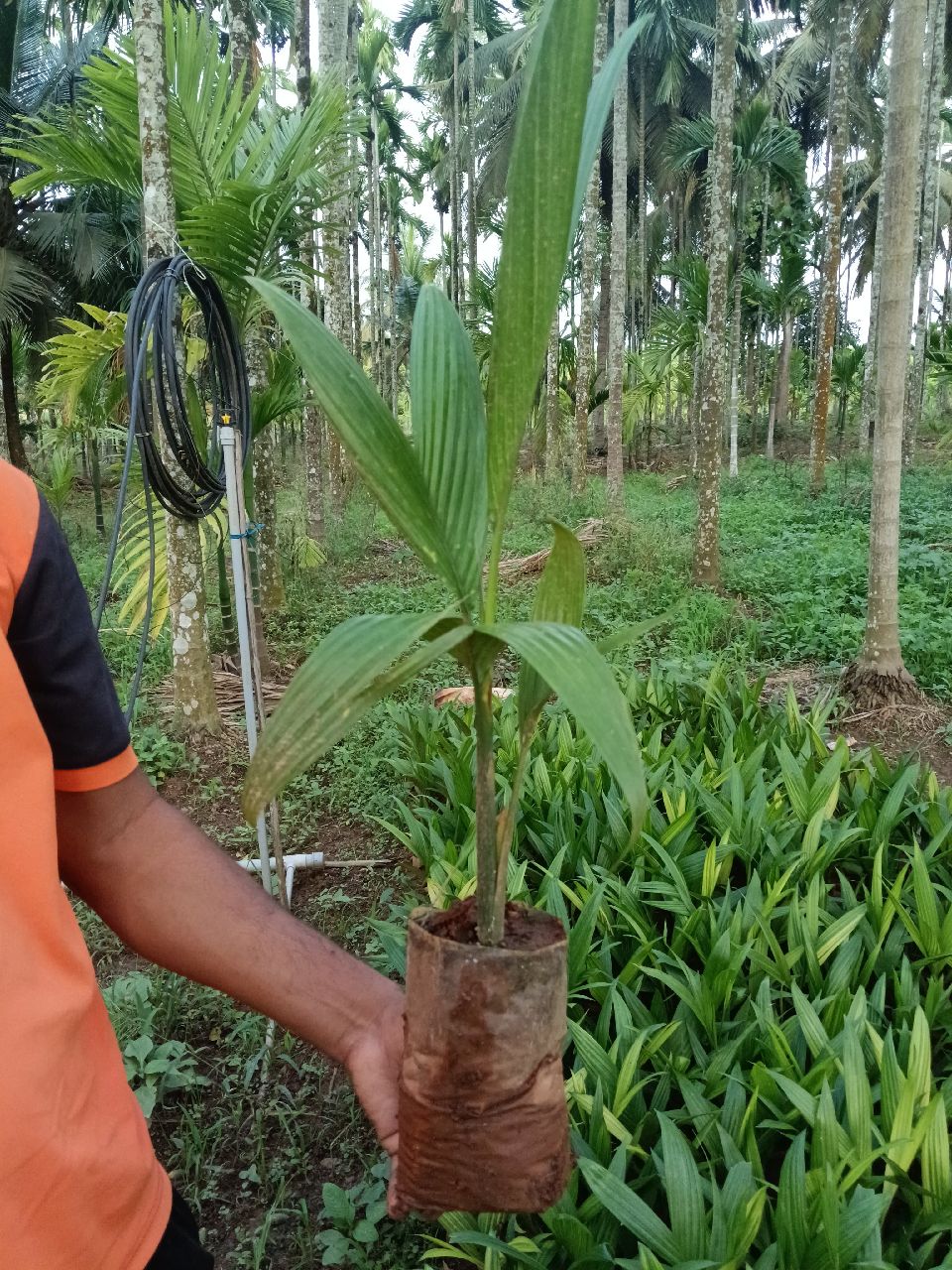 Agriculture Services image 3