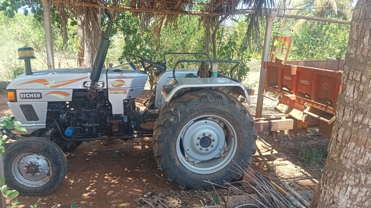 Bangarya Chenaya